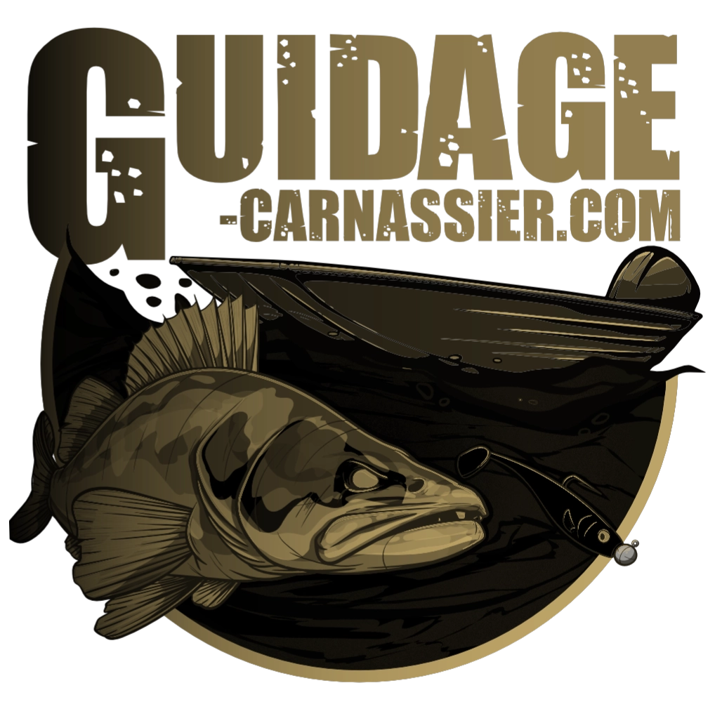 Logo GUIDAGE CARNASSIER - Agence de communication Neela à Gaillac